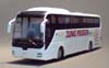 MAN-Lions-Coach_01-07