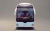 MAN-Lions-Coach_01-08
